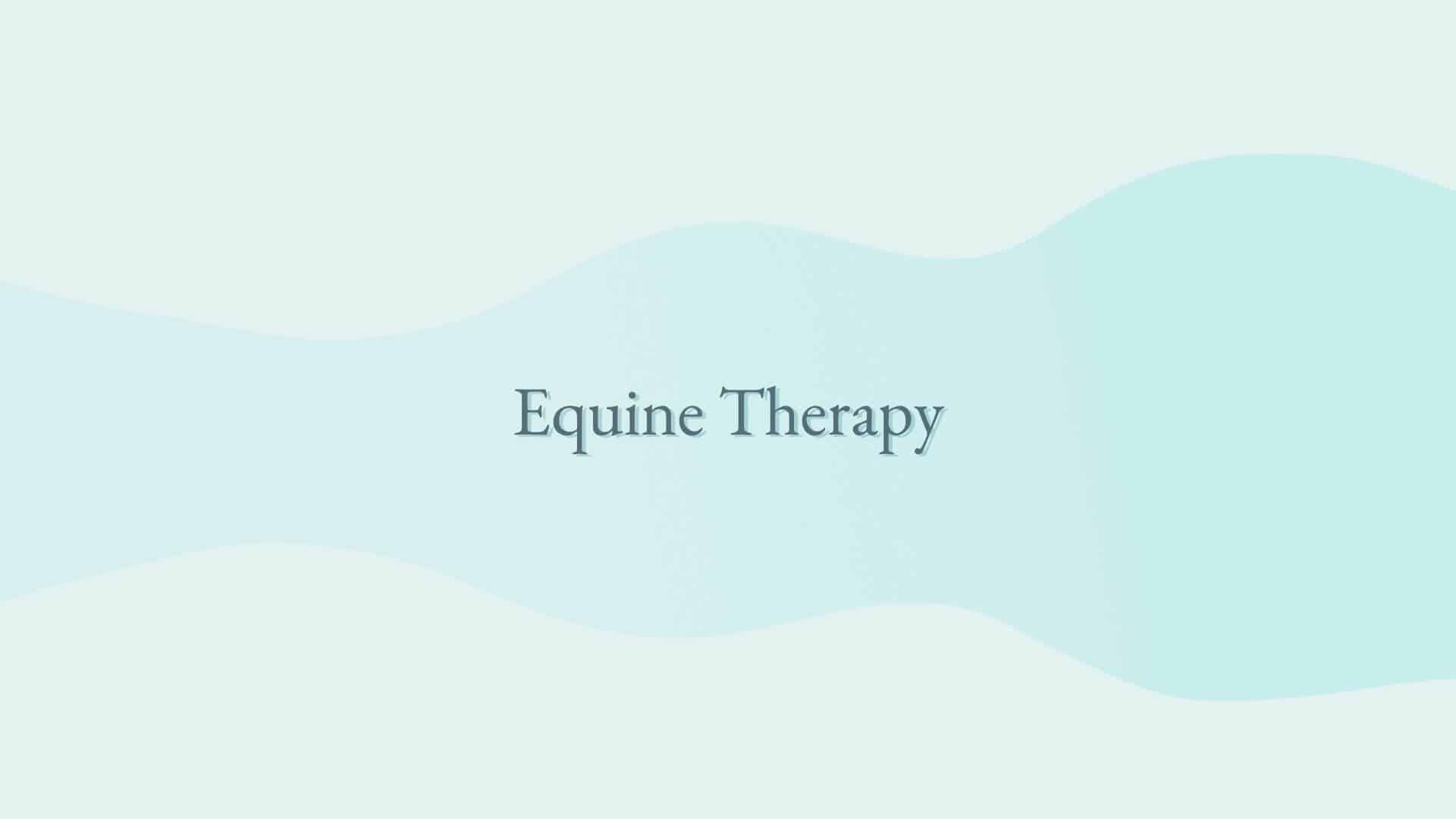 Equine Therapy 6