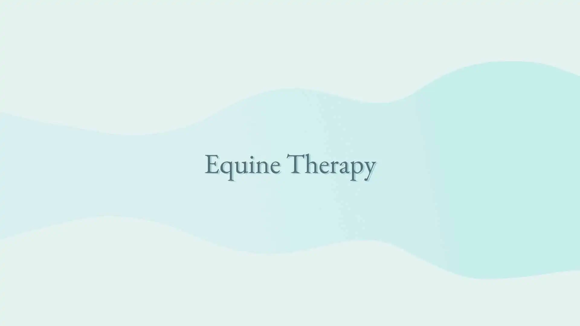 Equine Therapy 6