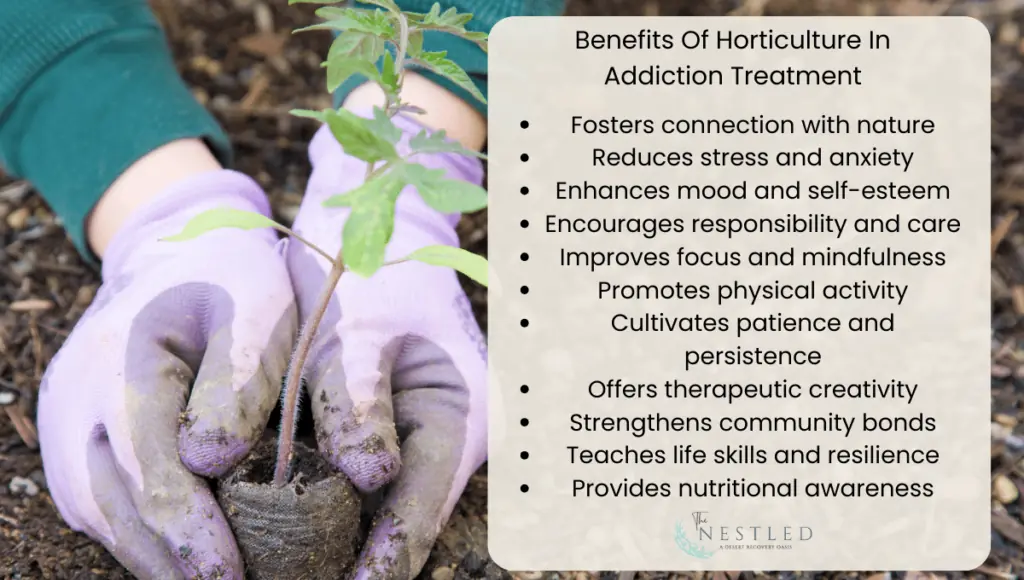 Info graphic explaining the benefits of horticultural therapy for addiction treatment.