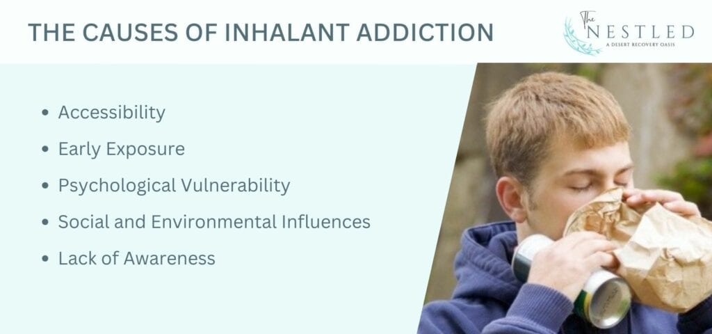 causes of inhalant addiction