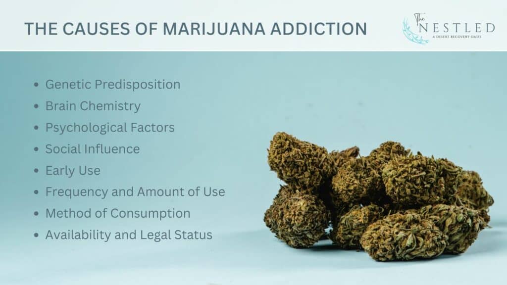 causes of marijuana addiction
