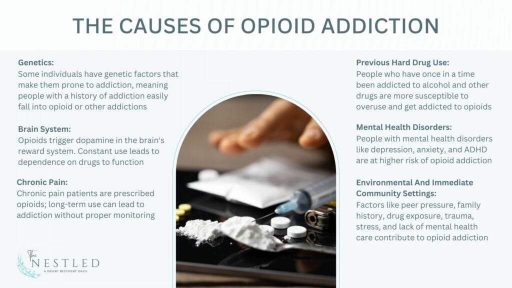 causes of opioid addiction